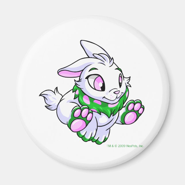 Racgreen Cybunny Magnet (Vorne)