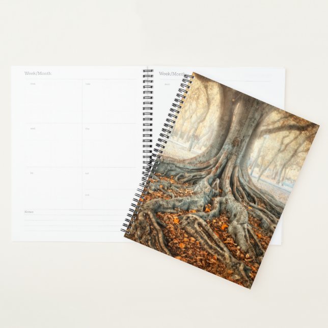 Racines de l'arbre antique (Devant avec enveloppe)