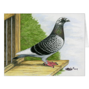 Racing Homer sur le Landing Board