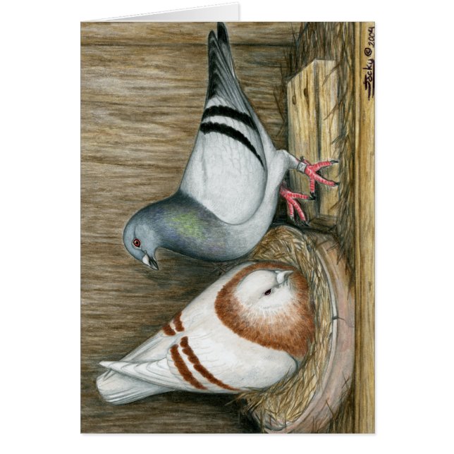 Racing Homers Home Life (Devant)