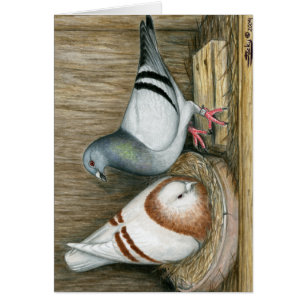 Racing Homers Zuhause Life