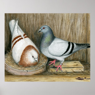 Racing Homers Zuhause Life Poster