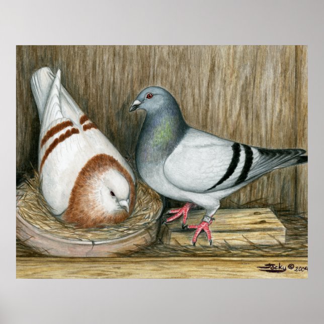 Racing Homers Zuhause Life Poster (Vorne)