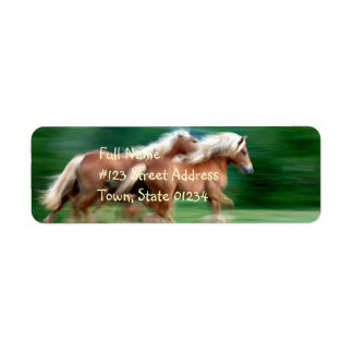 Racing Palomino Rücksendeadresse