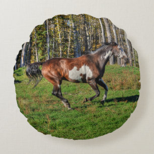 Racing Pinto Paint Stallion auf einer Pferderasse Rundes Kissen