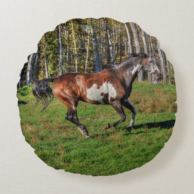 Racing Pinto Paint Stallion auf einer Pferderasse Rundes Kissen (Vorderseite)