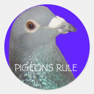 Racing Taube Kopf blu Hintergrund, PIGEONS RULE Runder Aufkleber