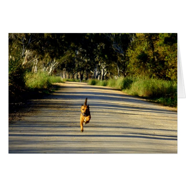 Racing zu dir! (Vorderseite (Horizontal))