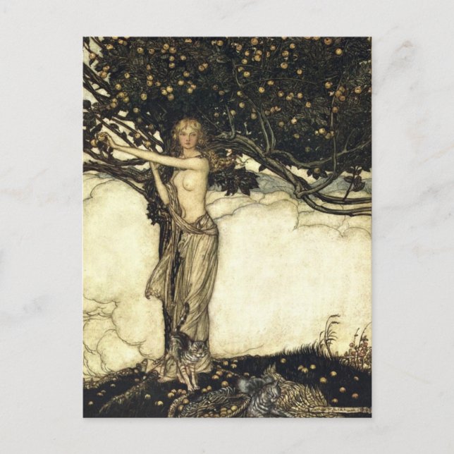 Rackhams Rhinegold Postkarte (Vorderseite)