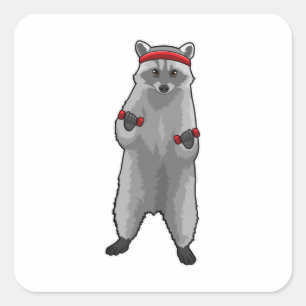 Racoon an der Fitness mit Dumbells Quadratischer Aufkleber