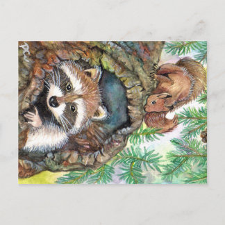 Racoon im Baumloch mit Eichhörnchen Postkarte