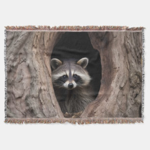 Racoon in der Baumhöhle Decke