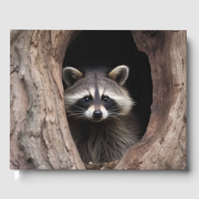 Racoon in der Baumhöhle Gästebuch (Vorderseite)
