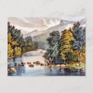 Racquet River—Adirondacks Postcard Postkarte