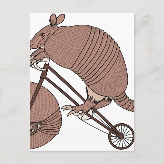 Rad Armadillo mit Armadillo-Rad Postkarte (Vorderseite)