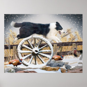 Rad Border Collie Jumping Poster