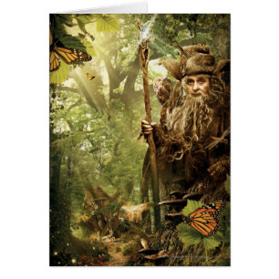 RADAGAST™ in Forest