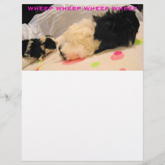 Radbriefe (Vorderseite)