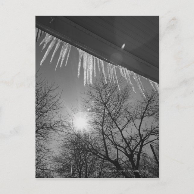 Räder auf Dach und Sonne Postkarte (Vorderseite)
