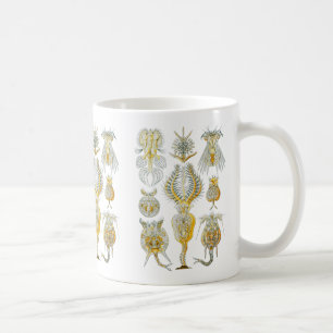 Rädertiere Kaffeetasse