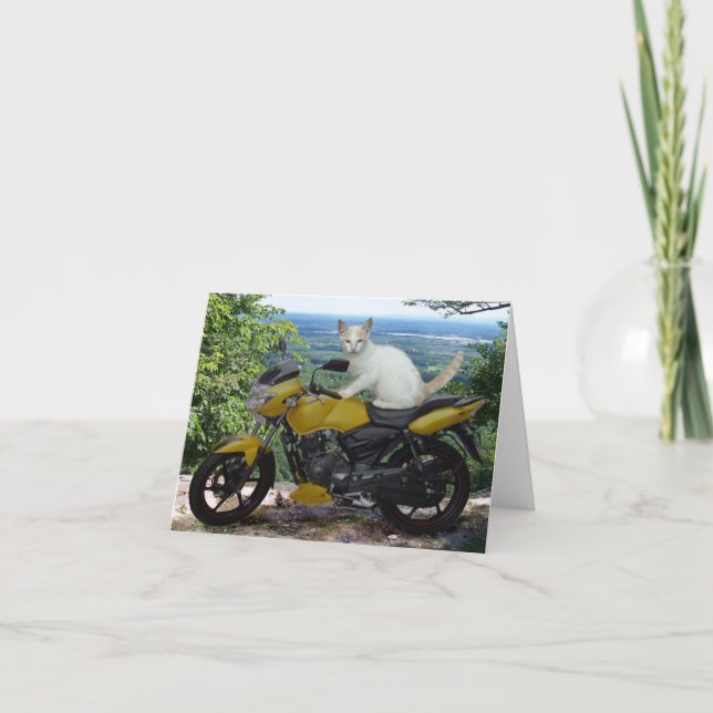 Radfahrer-Katze Notecard Feiertagskarte (Vorderseite)