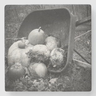 Radhalterung und im Herbst über Kürbis Verlassen Steinuntersetzer