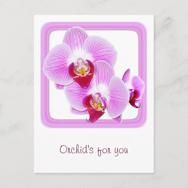 Radiales Orchid-Foto mit quadratischem Rahmen Postkarte (Vorderseite)