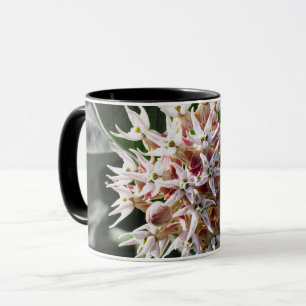 Radialreinheit: weißes, schimmerndes Milkweed-Blum Tasse