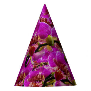 Radiant Clusters: Die Magenta Orchid Symphonie, Partyhütchen