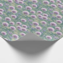Radiant Giant Zwiebel