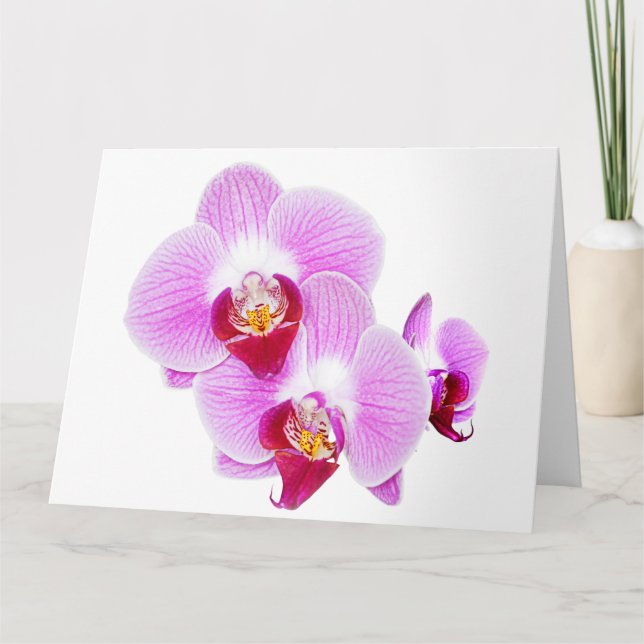 Radiant Orchid Nah-up Floral Fotografie Karte (Vorderseite)