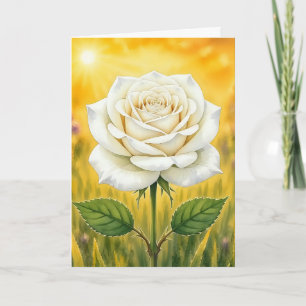 Radiant Petal Serie – weiße Rose Karte