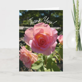 Radiant Pink Tee Rose Danke Karte