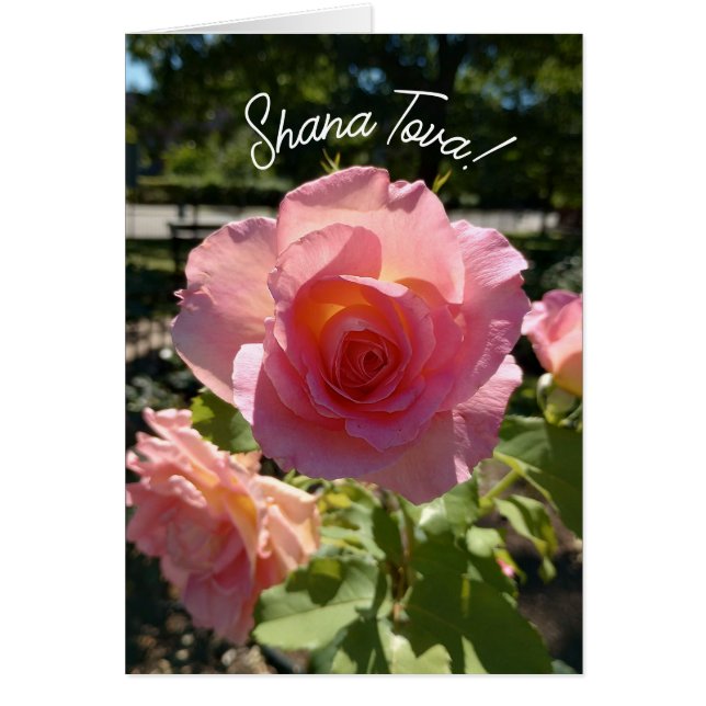 Radiant Pink Tee Rose Rosh Hashanah Card (Vorne)