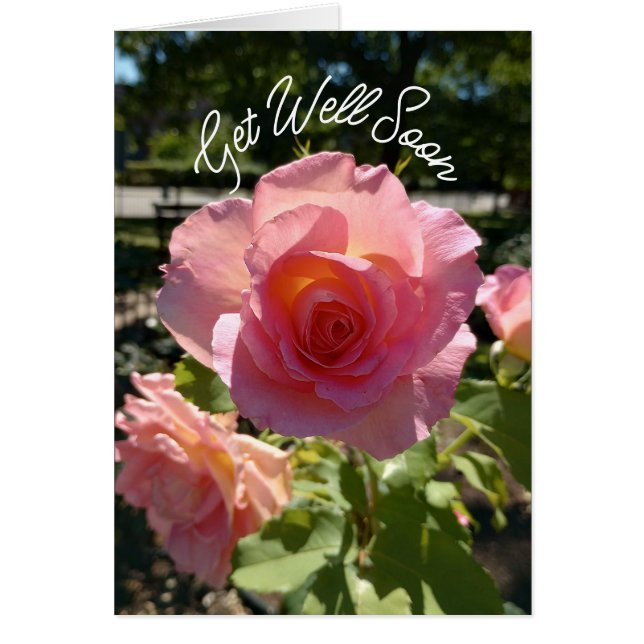 Radiant Pink Tee Rose wird bald gut (Vorne)