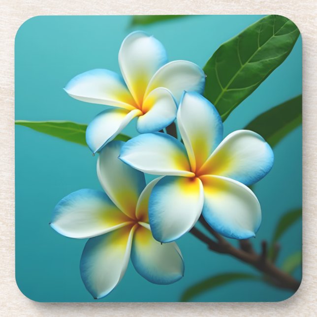 Radiant Plumeria Blooms Getränkeuntersetzer (Vorderseite)
