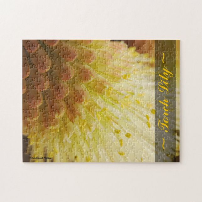 Radiant Torch Lily Nah up Fotografie (Horizontal)