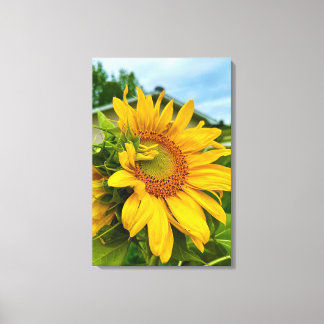 Radikale Blüten brächen meinen Tag 🌻 ✨ Leinwanddruck