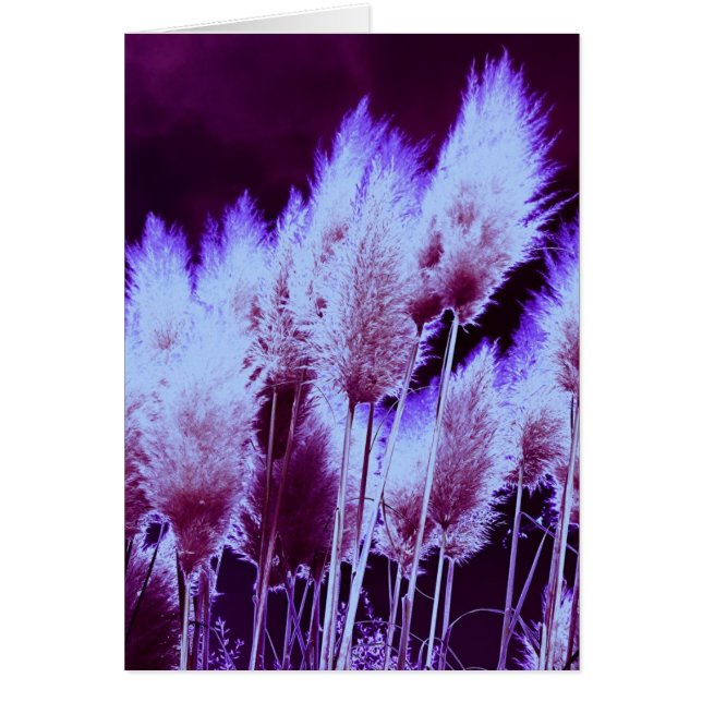 Radio-active (Devant)