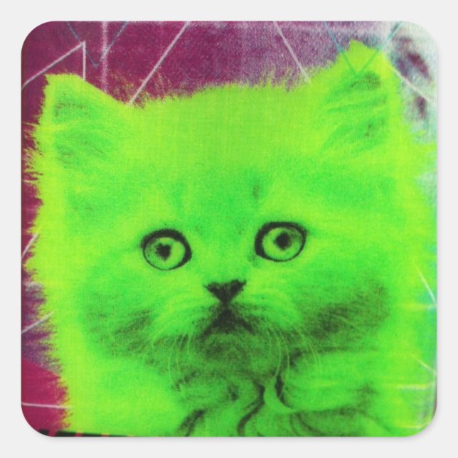 radioaktive Katze Quadratischer Aufkleber (Vorderseite)