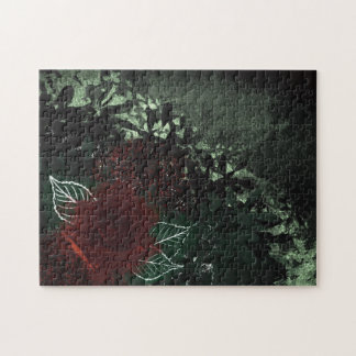Radioaktive Rose