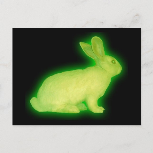 radioaktives Kaninchen Postkarte (Vorderseite)