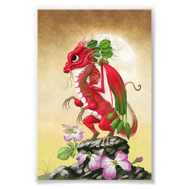 Radish Dragon 4x6 Print Fotodruck (Vorne)