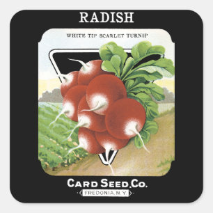 Radish Seed Packet Étiquette