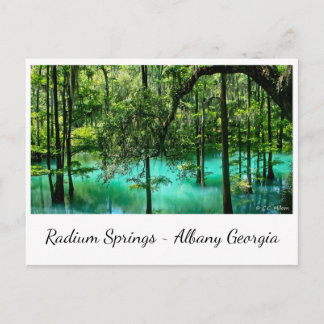 Radium Springs ~ Albany Georgia Postkarte