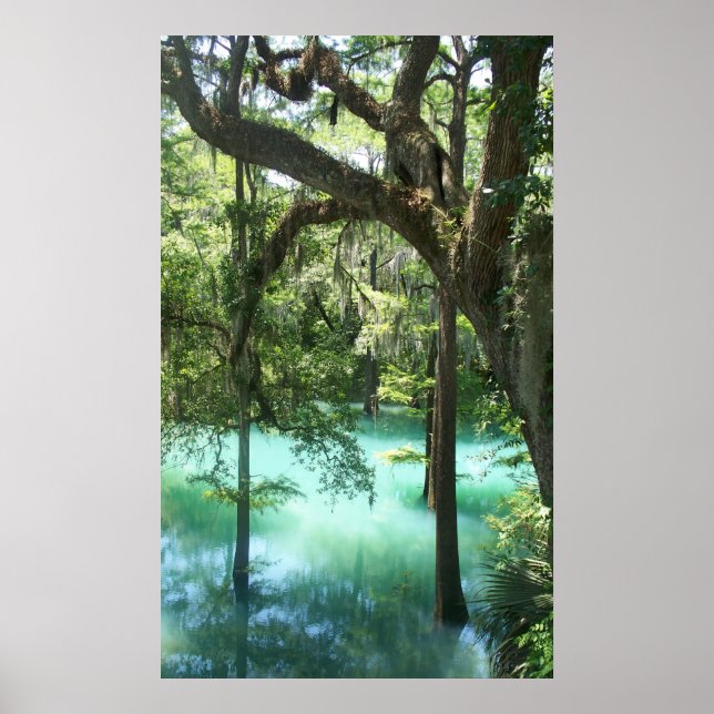 Radiumsprings am Flint River GA Poster (Vorne)