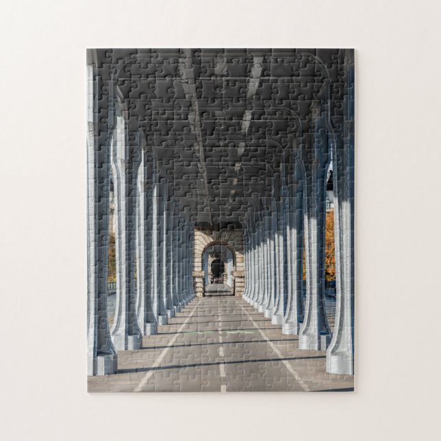 Radweg auf dem Pont Bir-Hakeim - Paris, Frankreich (Vertikal)