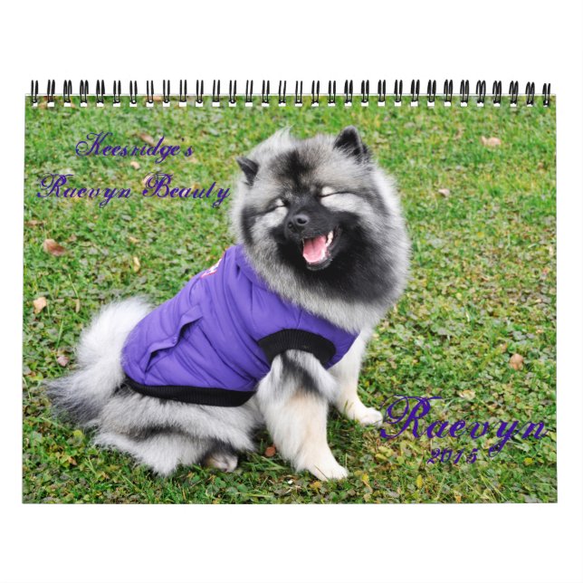Raevyn Keeshond-Kalender 2015 Kalender (Titelbild)