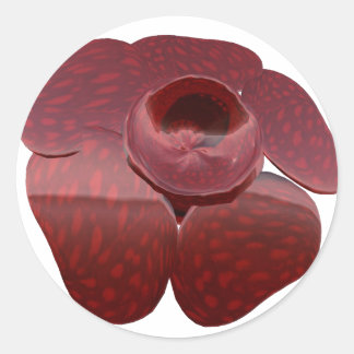 Rafflesia Stickers