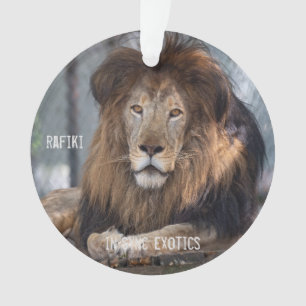 Rafiki - ornament